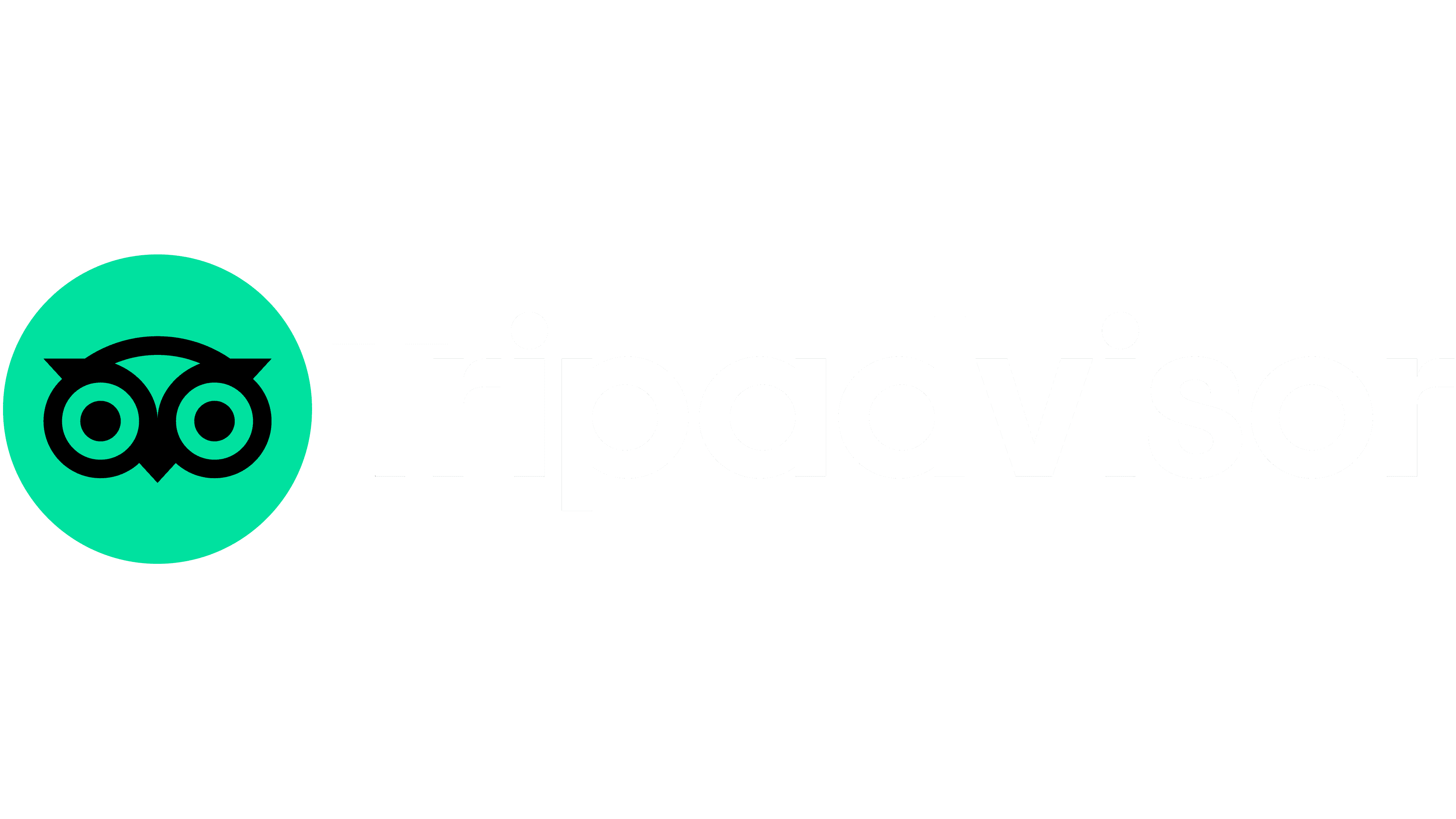 Tripadvisor Hesabımıza Bir Göz Atın